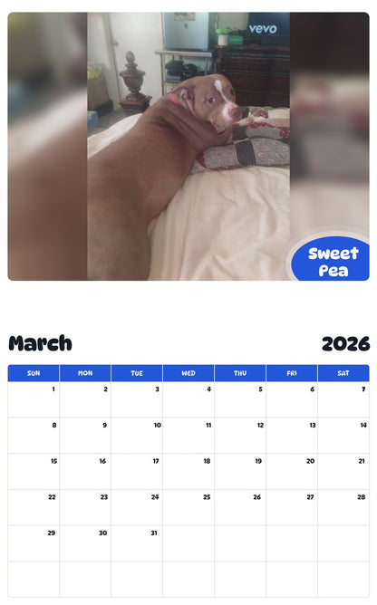 November 2025 - October 2026 Sweet Pea - Pawidols Pet Calendar