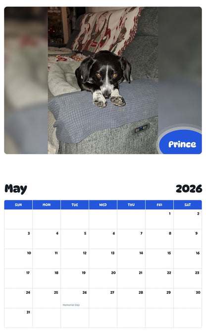2026 - 2027 Prince - Pawidols Pet Calendar