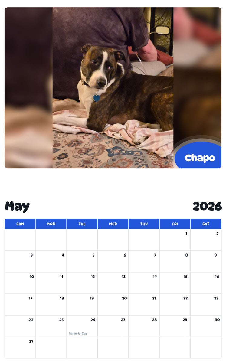 2026 - 2027 Chapo - Pawidols Pet Calendar