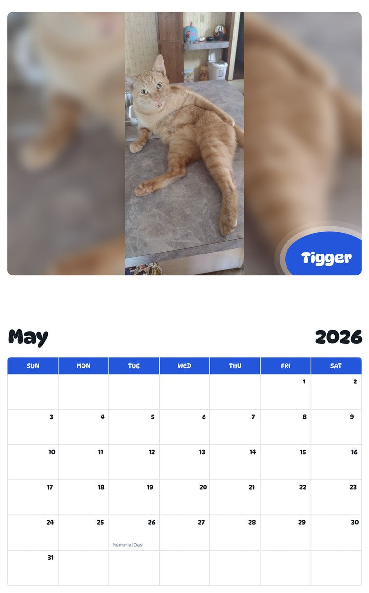 2026 - 2027 Tigger - Pawidols Pet Calendar
