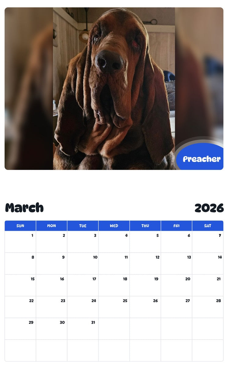 November 2025 - October 2026 Preacher - Pawidols Pet Calendar
