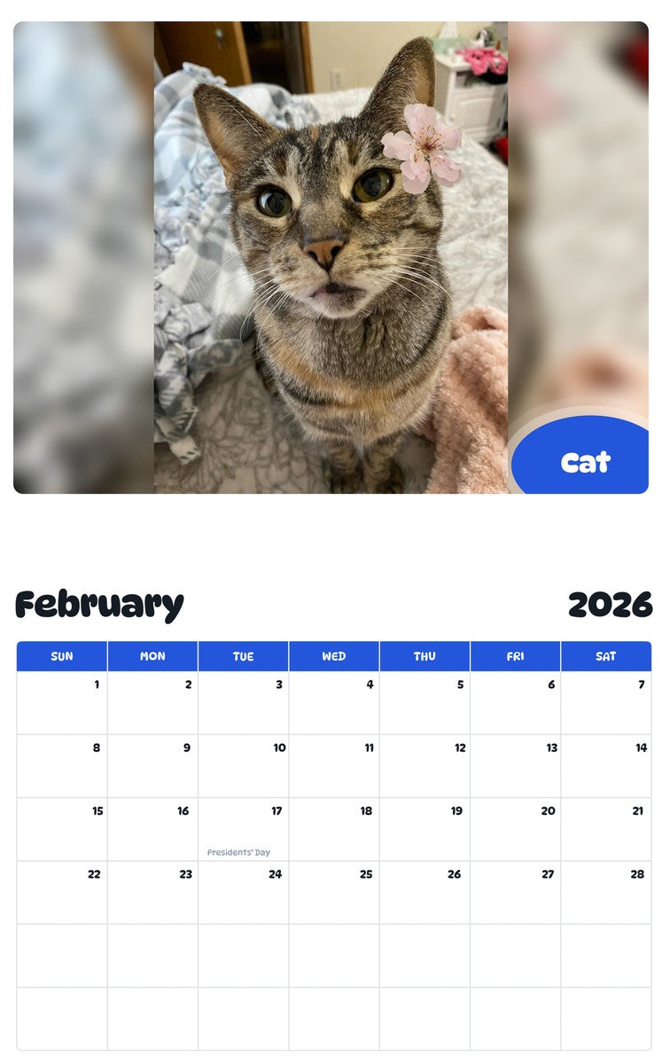 October 2025 - September 2026 Cat - Pawidols Pet Calendar