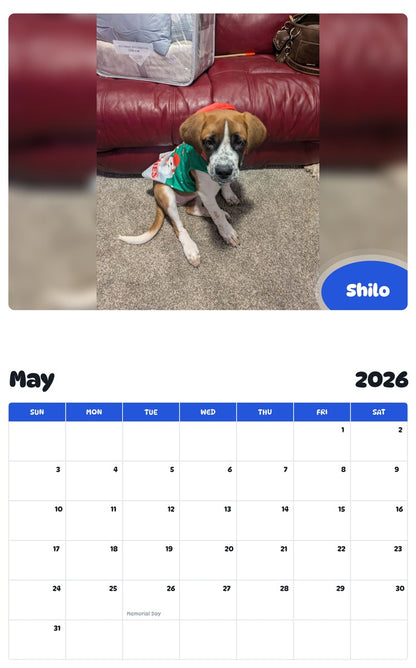 2026 - 2027 Shilo - Pawidols Pet Calendar