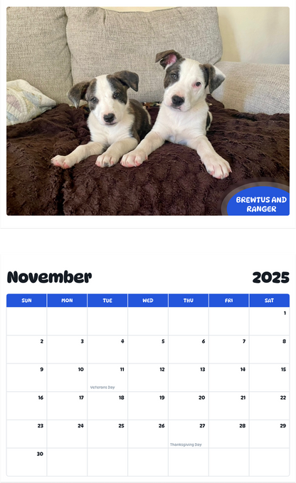 July 2025 - June 2026 Brewtus and Ranger - Pawidols Pet Calendar