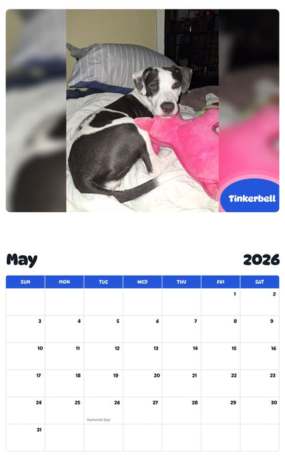 2026 - 2027 Tinkerbell - Pawidols Pet Calendar