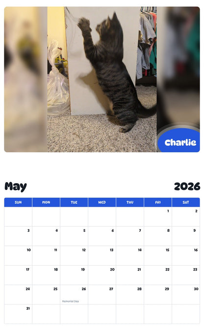 2026 - 2027 Charlie - Pawidols Pet Calendar