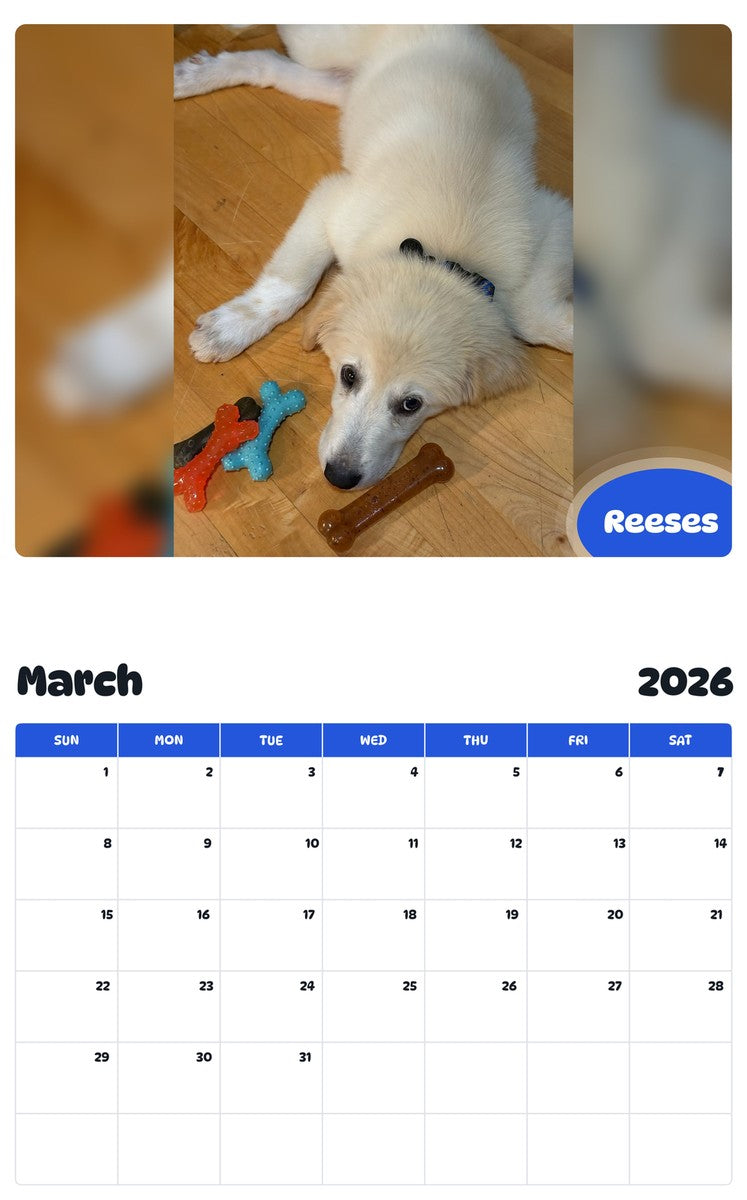 November 2025 - October 2026 Reeses - Pawidols Pet Calendar