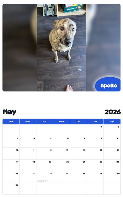 2026 - 2027 Apollo - Pawidols Pet Calendar