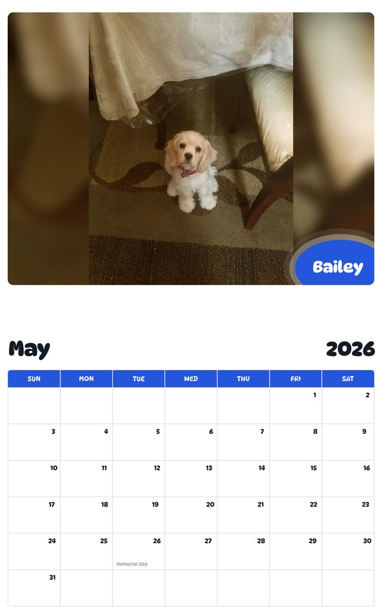 2026 - 2027 Bailey - Pawidols Pet Calendar