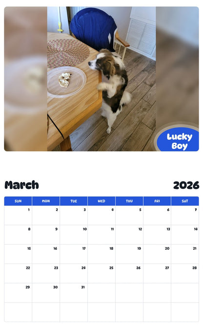 November 2025 - October 2026 Lucky Boy - Pawidols Pet Calendar