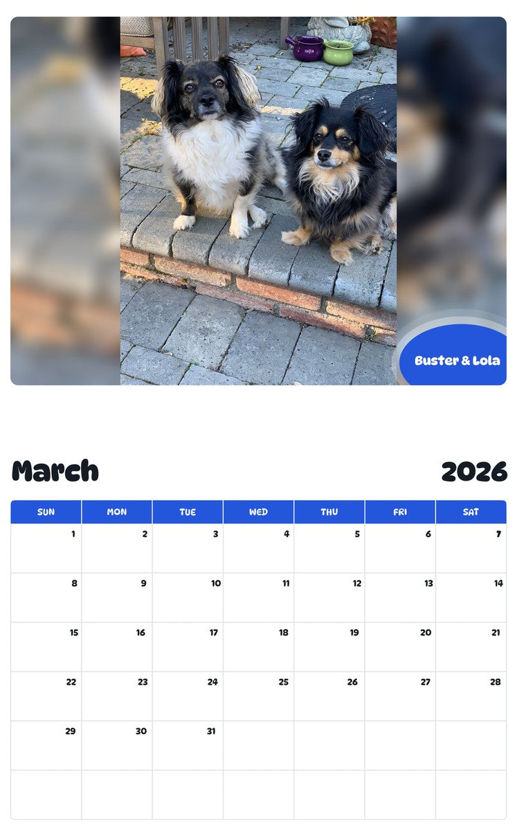 November 2025 - October 2026 Buster & Lola - Pawidols Pet Calendar