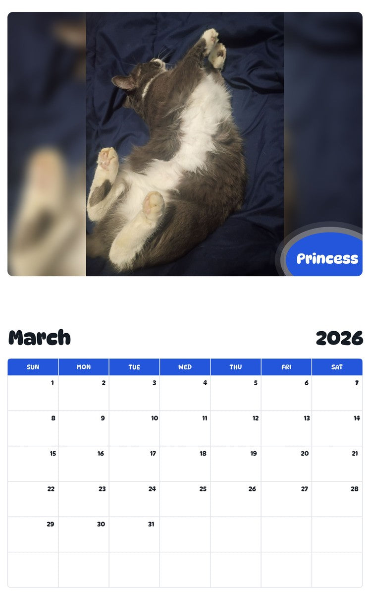November 2025 - October 2026 Princess - Pawidols Pet Calendar