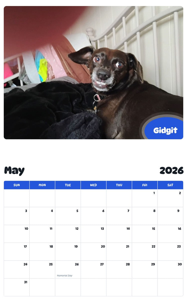 2026 - 2027 Gidgit - Pawidols Pet Calendar