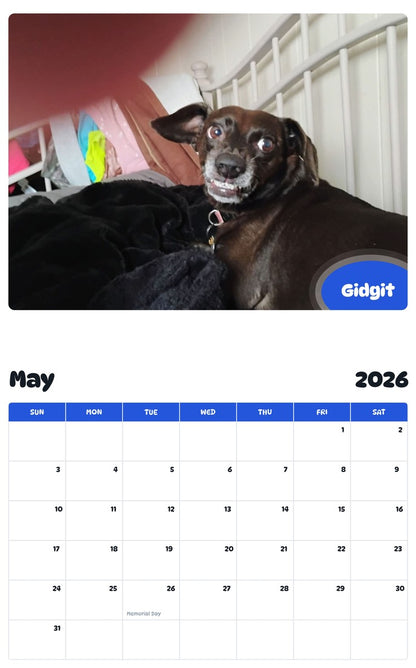 2026 - 2027 Gidgit - Pawidols Pet Calendar