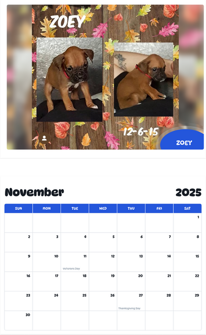 July 2025 - June 2026 Zoey - Pawidols Pet Calendar