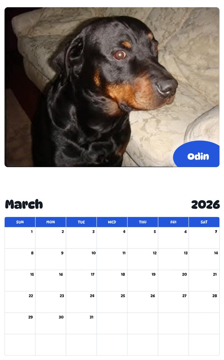 November 2025 - October 2026 Odin - Pawidols Pet Calendar