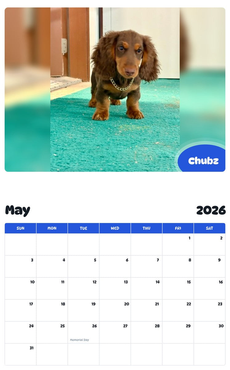 2026 - 2027 Chubz - Pawidols Pet Calendar