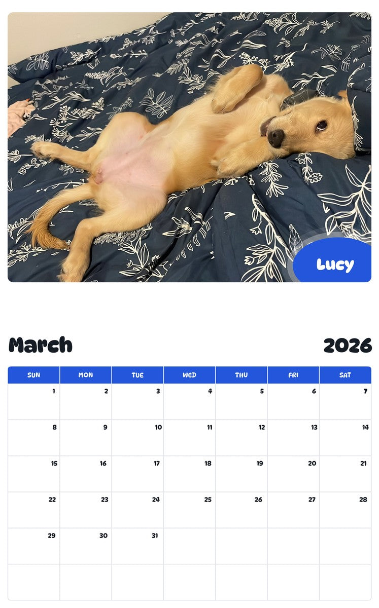 November 2025 - October 2026 Lucy - Pawidols Pet Calendar