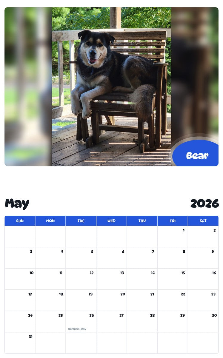 2026 - 2027 Bear - Pawidols Pet Calendar