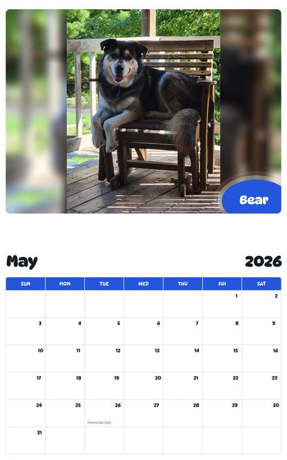 2026 - 2027 Bear - Pawidols Pet Calendar
