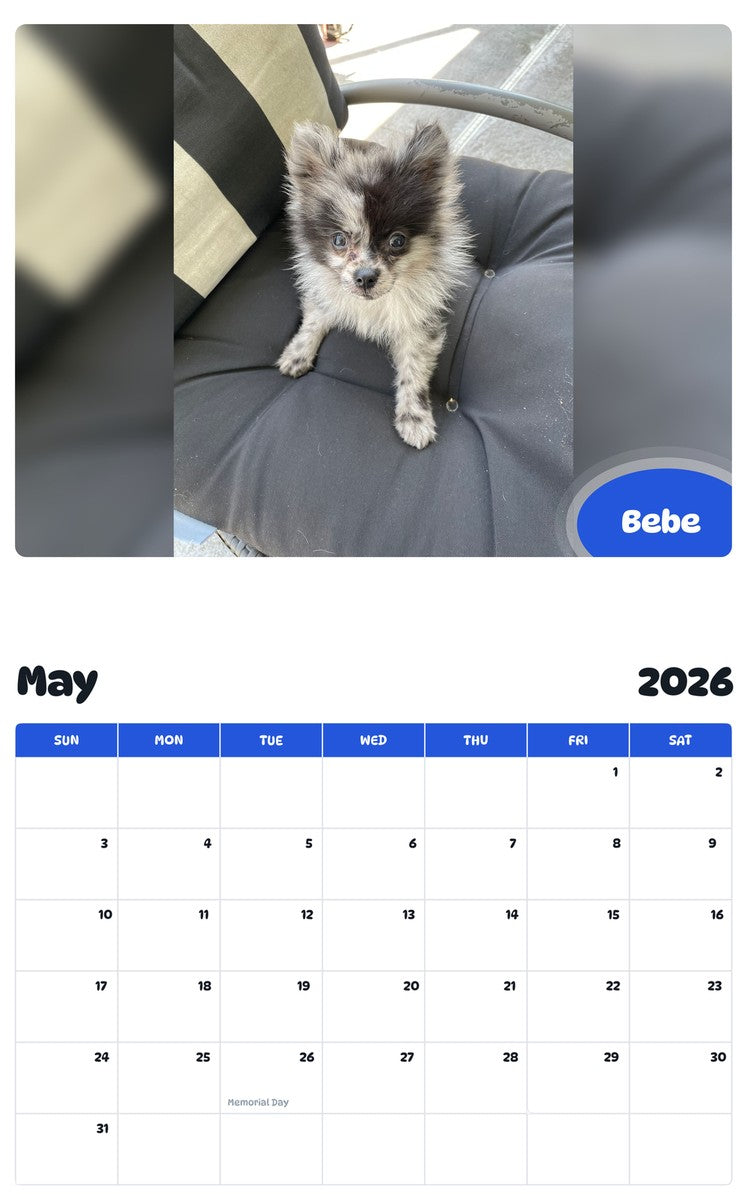 2026 - 2027 Bebe - Pawidols Pet Calendar