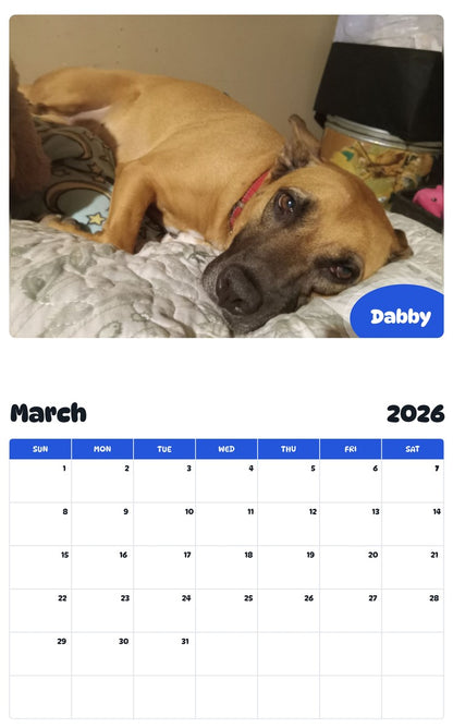 November 2025 - October 2026 Dabby - Pawidols Pet Calendar