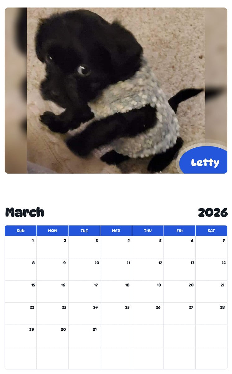 November 2025 - October 2026 Letty - Pawidols Pet Calendar