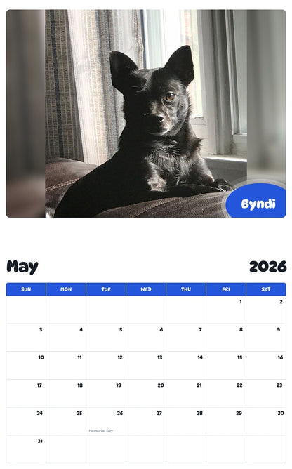 2026 - 2027 Byndi - Pawidols Pet Calendar