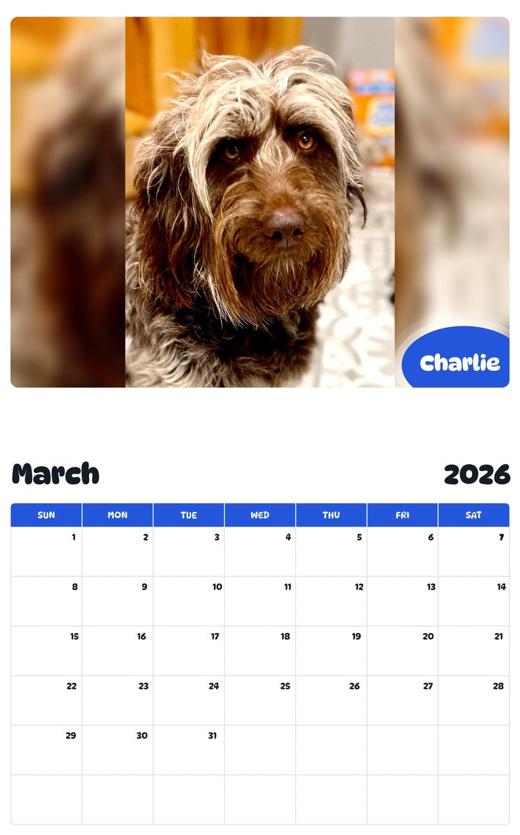 November 2025 - October 2026 Charlie - Pawidols Pet Calendar