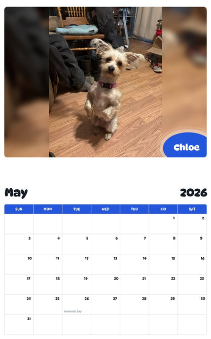 2026 - 2027 Chloe - Pawidols Pet Calendar