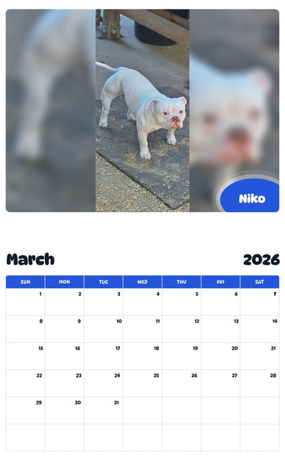 November 2025 - October 2026 Niko - Pawidols Pet Calendar