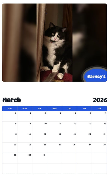 November 2025 - October 2026 Barney’s - Pawidols Pet Calendar