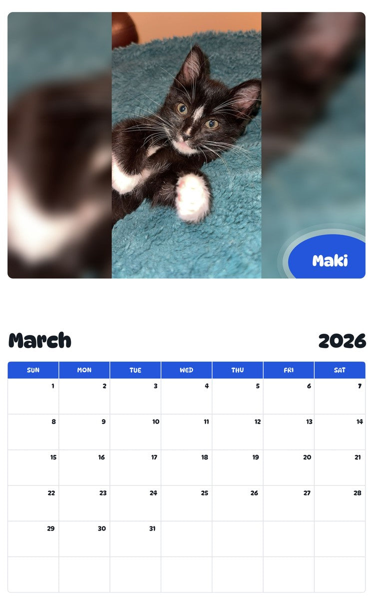 November 2025 - October 2026 Maki - Pawidols Pet Calendar