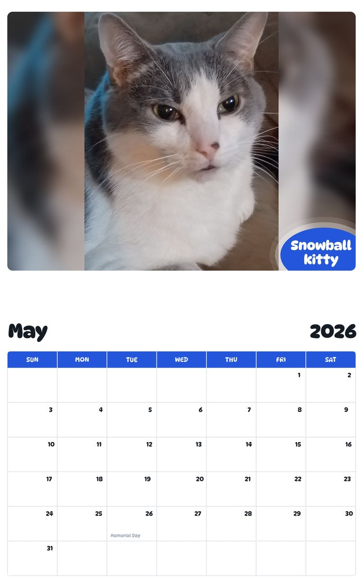 2026 - 2027 Snowball kitty - Pawidols Pet Calendar