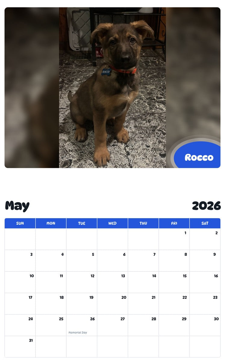 2026 - 2027 Rocco - Pawidols Pet Calendar