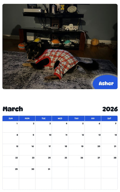November 2025 - October 2026 Asher - Pawidols Pet Calendar