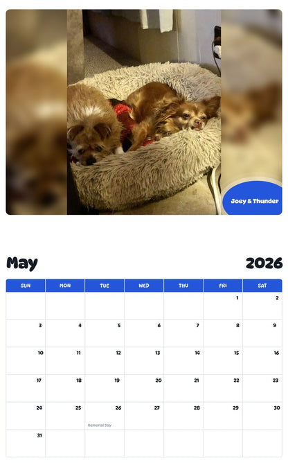 2026 - 2027 Joey & Thunder - Pawidols Pet Calendar