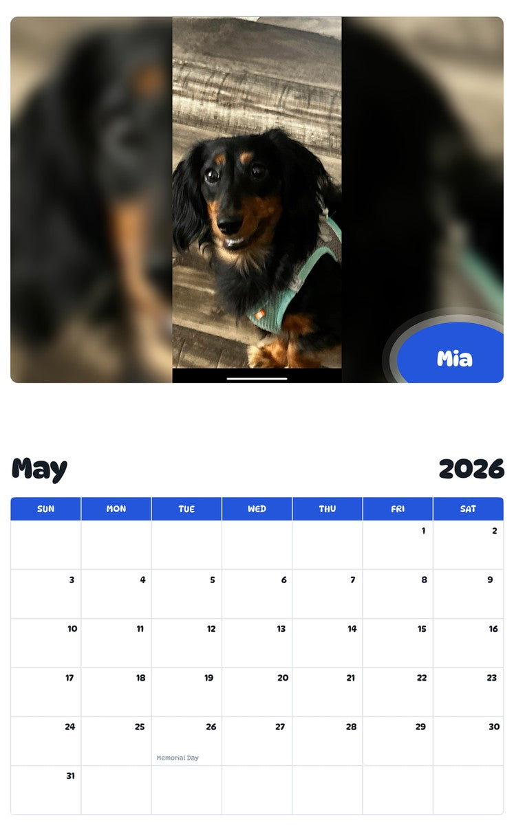 2026 - 2027 Mia - Pawidols Pet Calendar