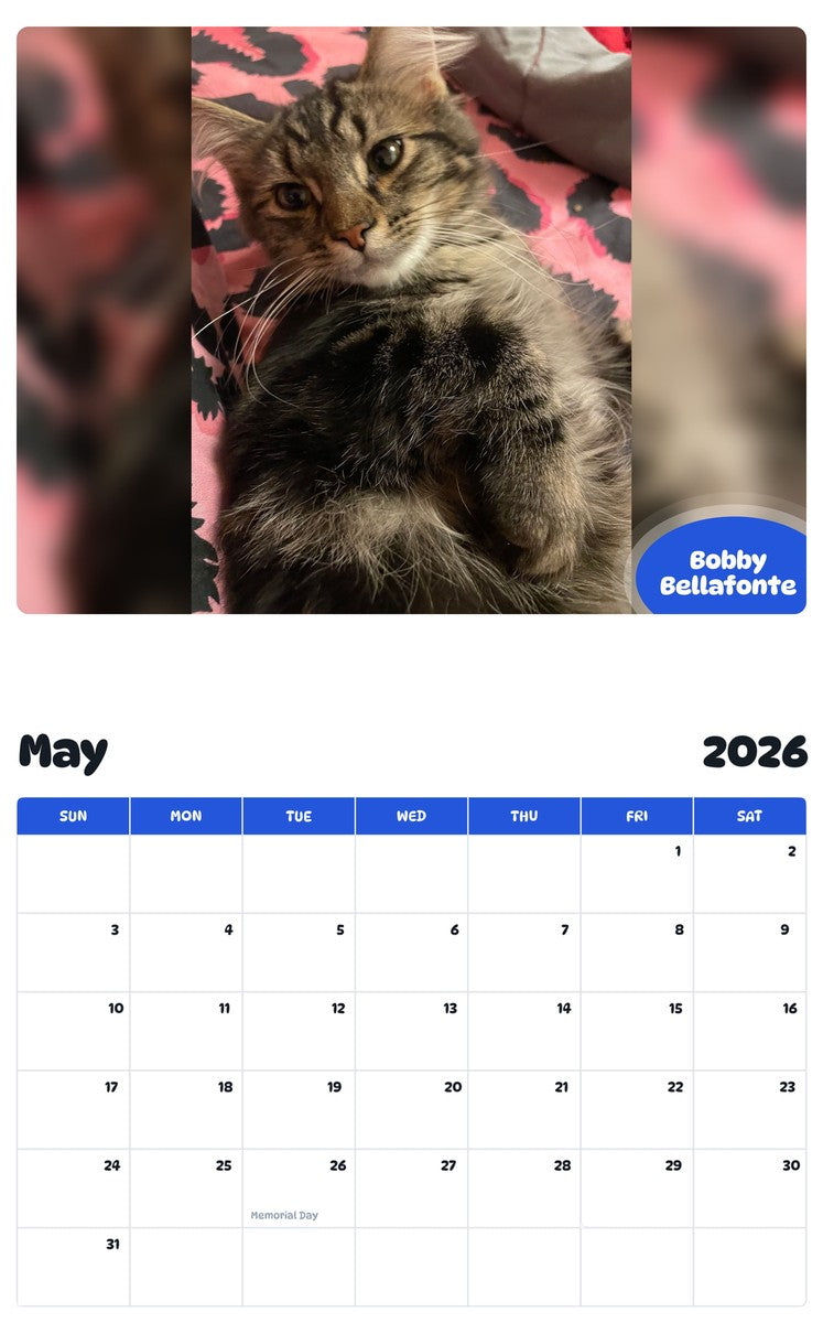 2026 - 2027 Bobby Bellafonte - Pawidols Pet Calendar
