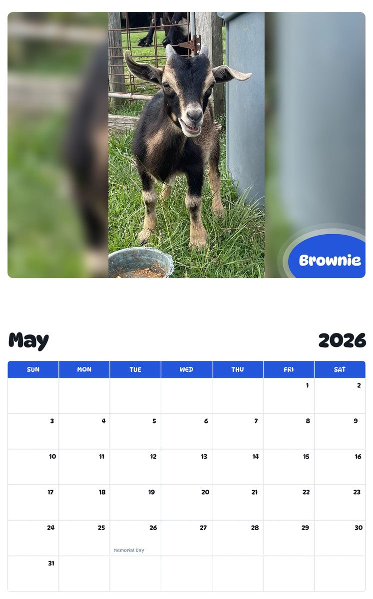 2026 - 2027 Brownie - Pawidols Pet Calendar
