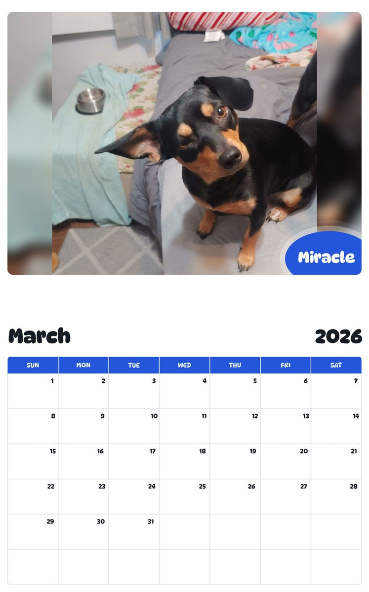 November 2025 - October 2026 Miracle - Pawidols Pet Calendar