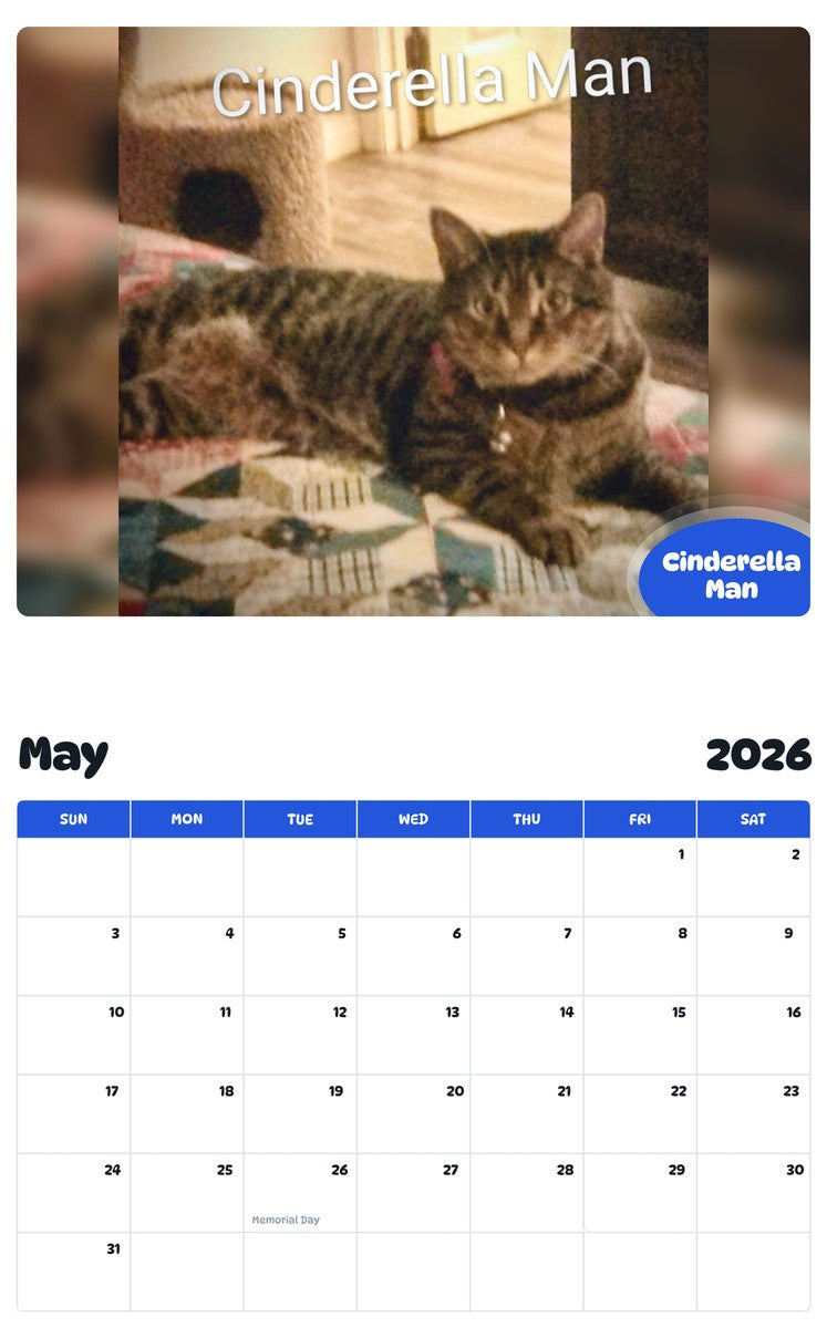 2026 - 2027 Cinderella Man - Pawidols Pet Calendar