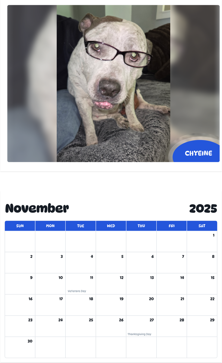 July 2025 - June 2026 Chyeine - Pawidols Pet Calendar