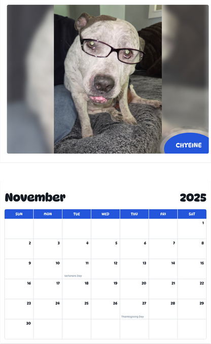 July 2025 - June 2026 Chyeine - Pawidols Pet Calendar