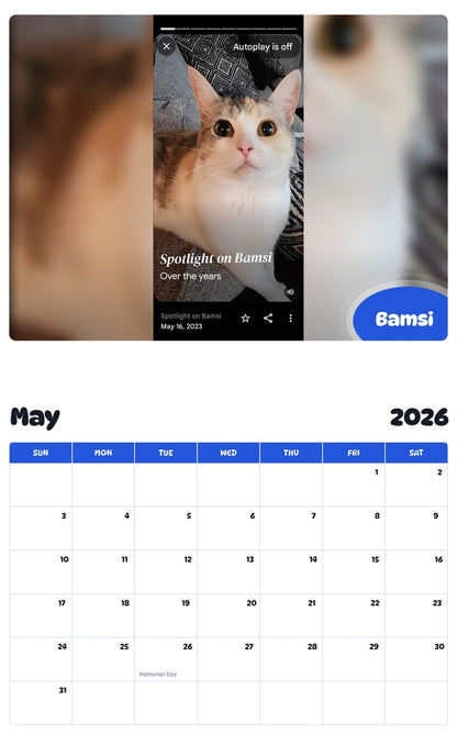 2026 - 2027 Bamsi - Pawidols Pet Calendar
