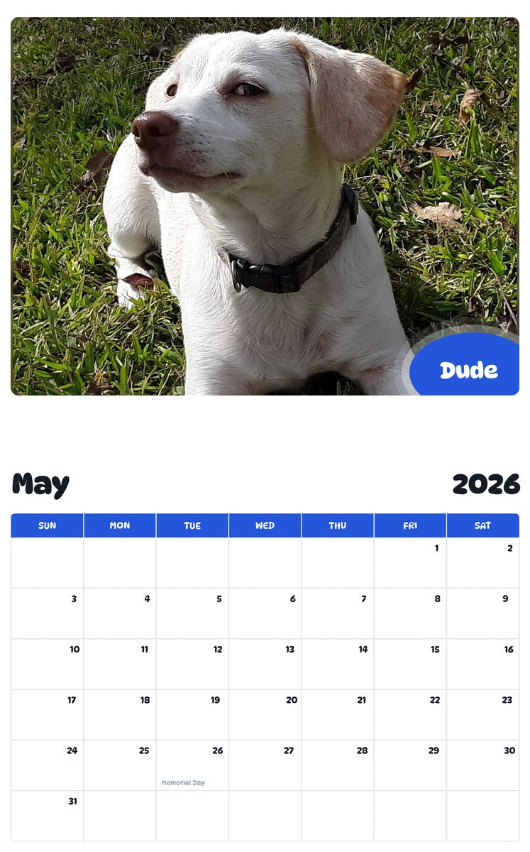2026 - 2027 Dude - Pawidols Pet Calendar