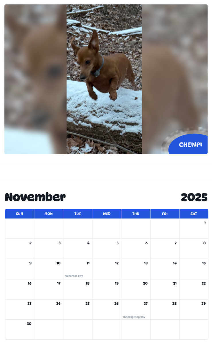 July 2025 - June 2026 Chewpi - Pawidols Pet Calendar