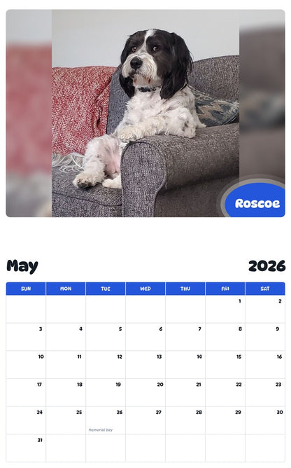 2026 - 2027 Roscoe - Pawidols Pet Calendar