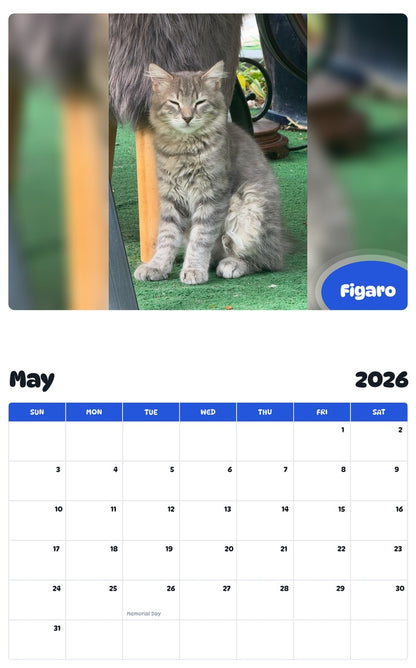 2026 - 2027 Figaro - Pawidols Pet Calendar