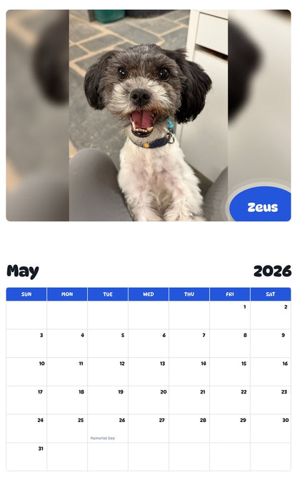 2026 - 2027 Zeus - Pawidols Pet Calendar